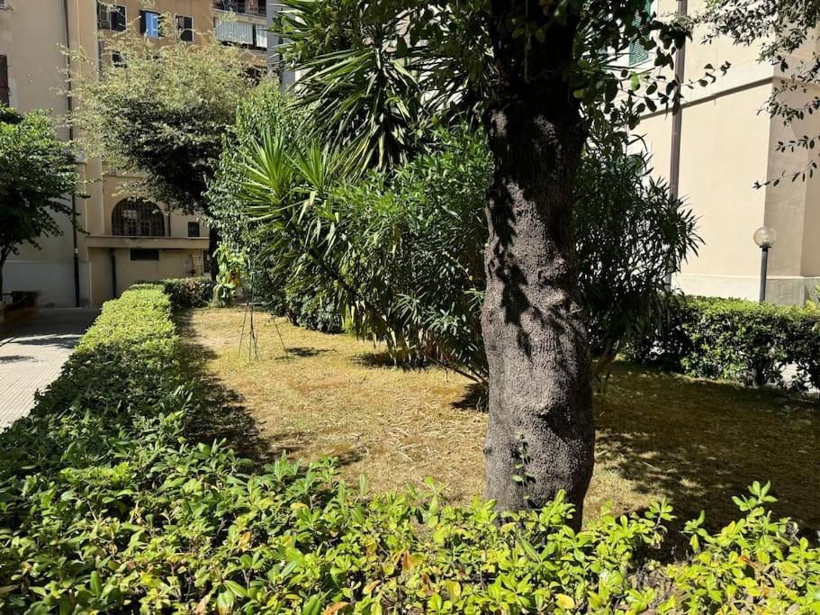 Casa Gigi Al Vaticano Apartamento *